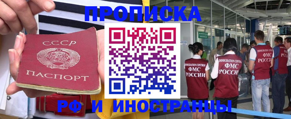 прописка 2025 в Александровске